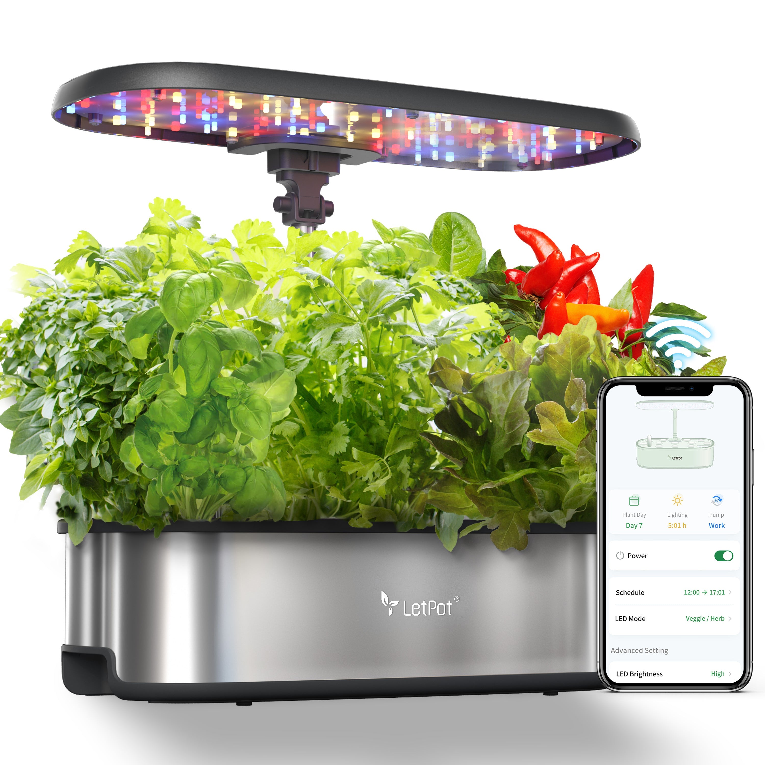 Hydroponics