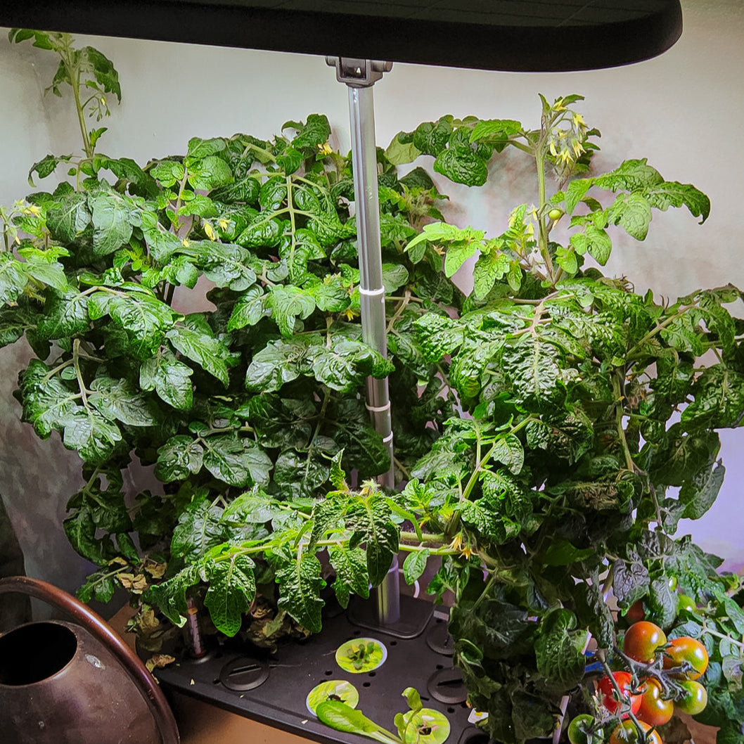 LetPot LPH-SE Hydroponic Growing System