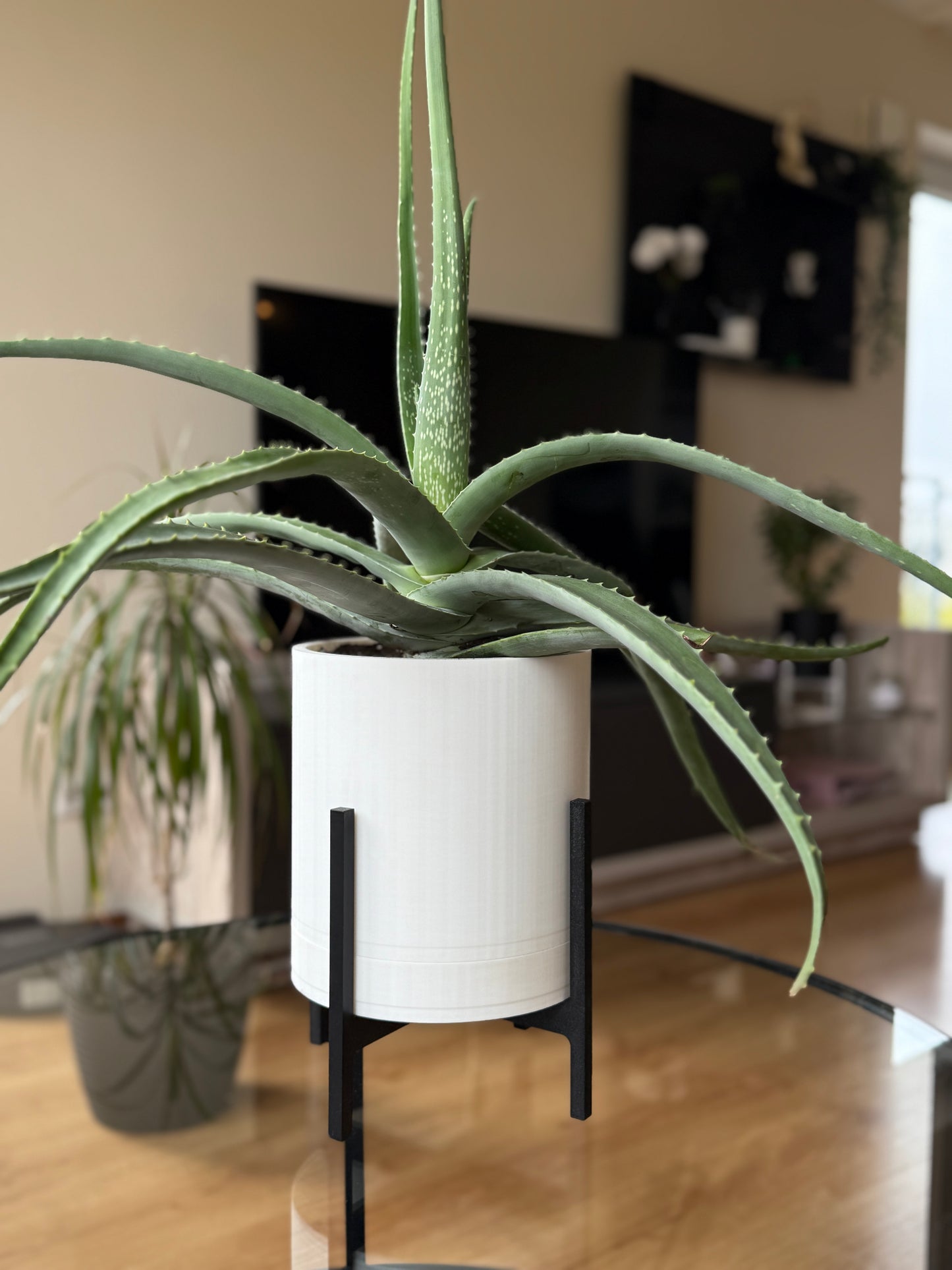 Large "Classic" Planter I White
