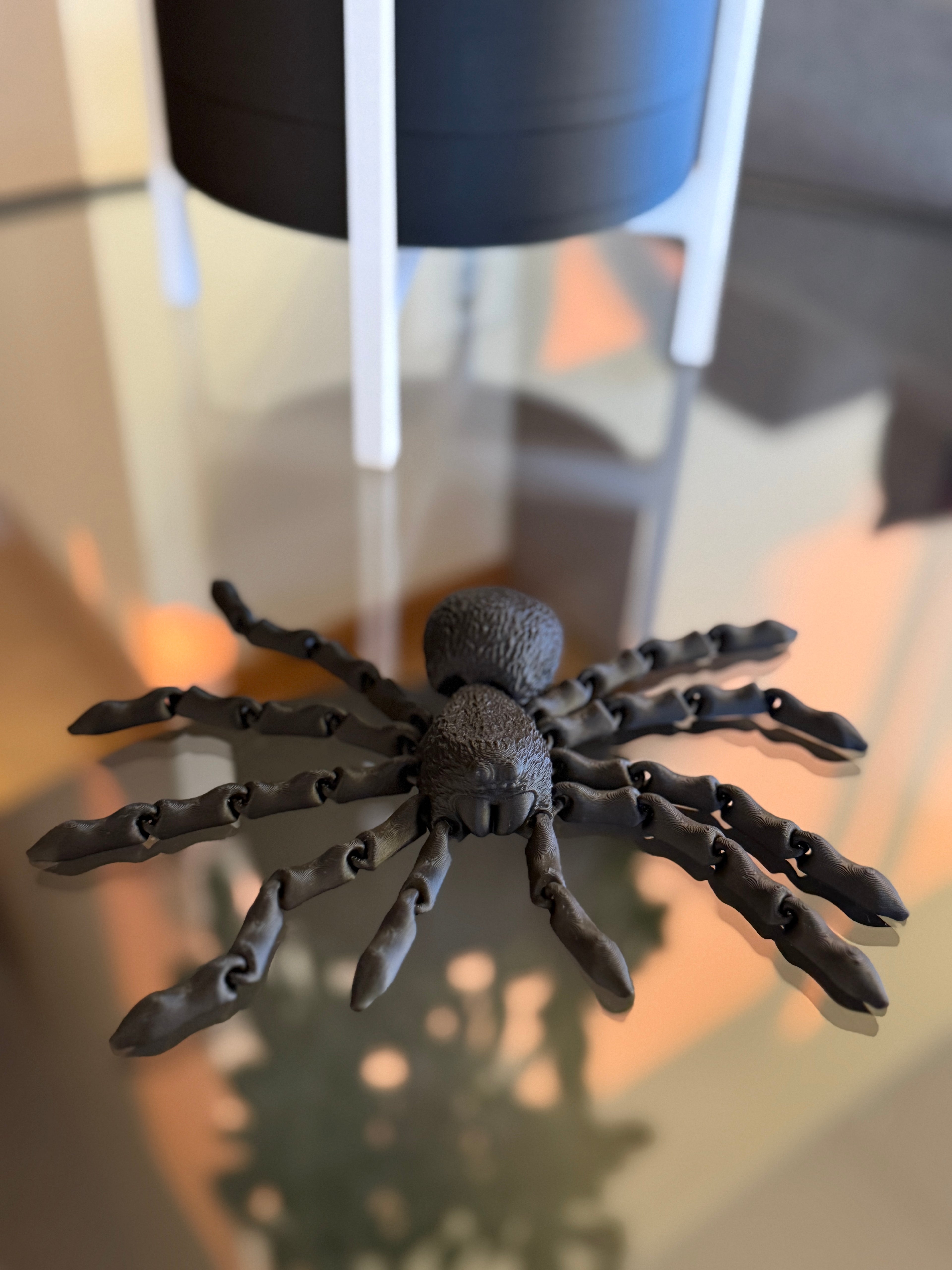 Flexi Spider
