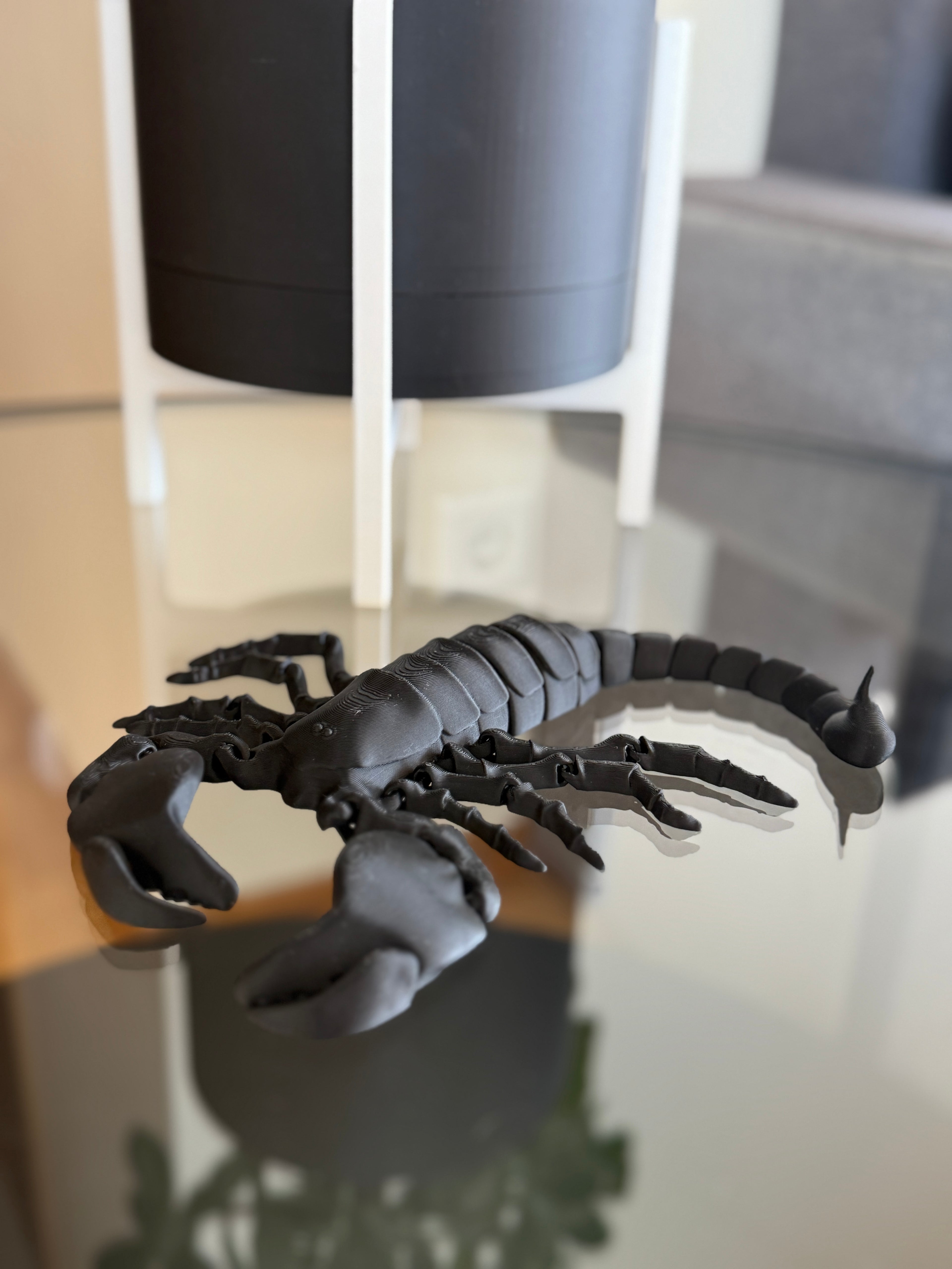 Flexi Skorpions