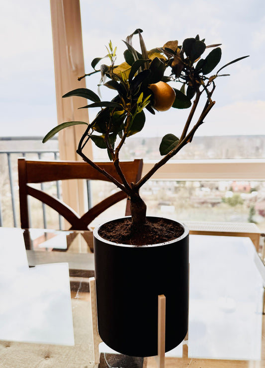 Classic Planter Black